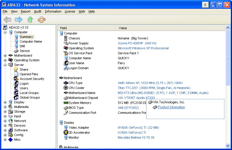 AIDA32 - Network System Information Screenshot